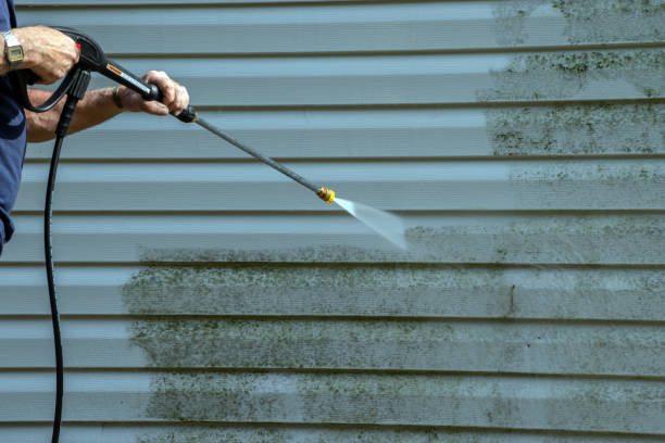 Best Exterior Home Cleaning  in Beecher, IL
