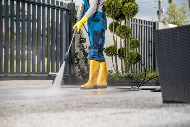 Best Pressure Washing Driveway  in Beecher, IL
