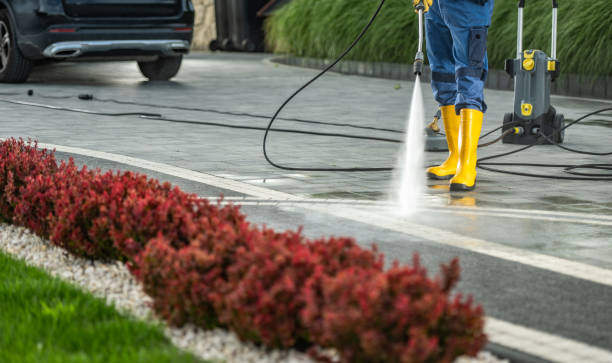 Professional Pressure Washing in Beecher, IL