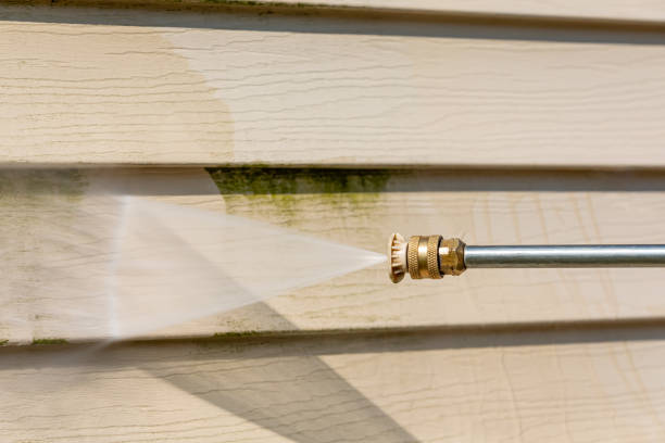 Best Best Pressure Washing Companies  in Beecher, IL
