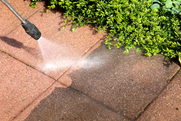 Best Roof Pressure Washing  in Beecher, IL