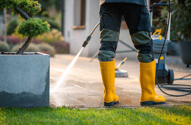Best Affordable Pressure Washing  in Beecher, IL